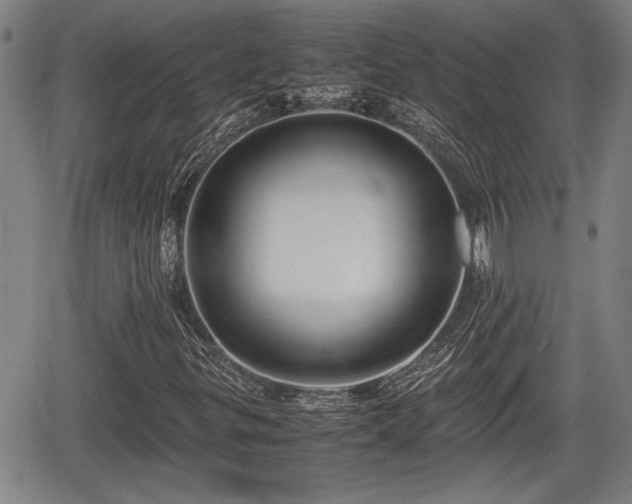 X0000067361299200604071405