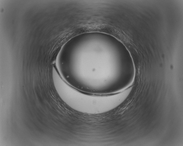 X0000067361300200604071405