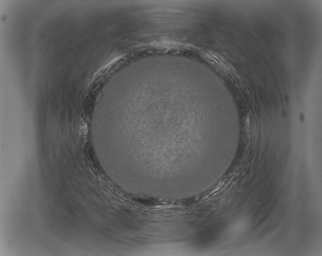 X0000067361302200604071405