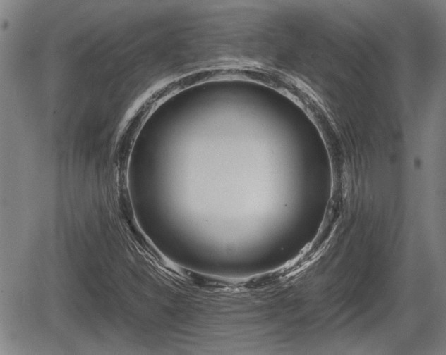 X0000067361310200604071405