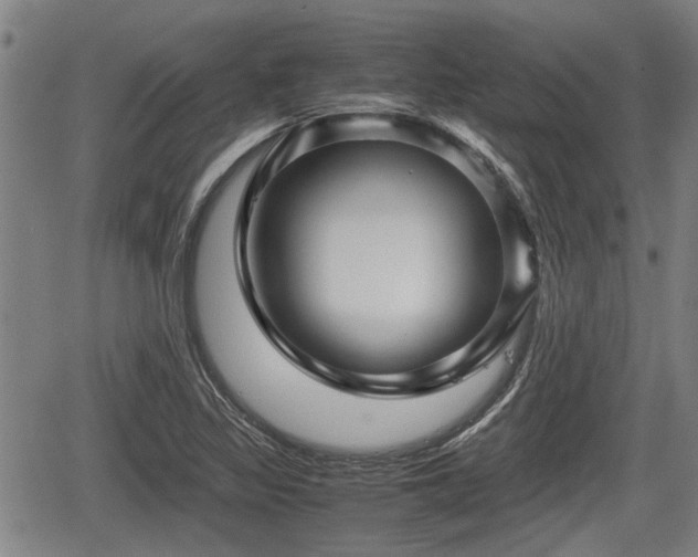 X0000067361317200604071406