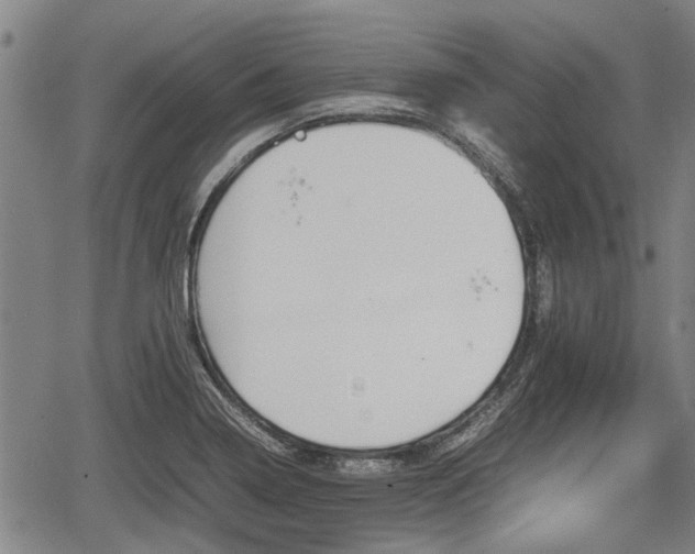 X0000067361322200604071406