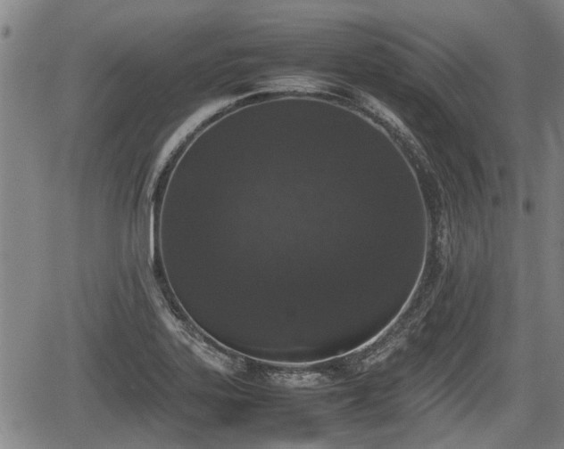 X0000067361323200604071406