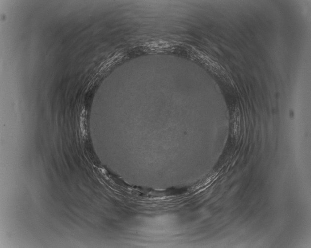 X0000067361346200604071405