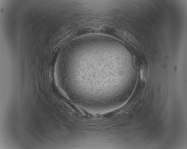 X0000067361347200604071405