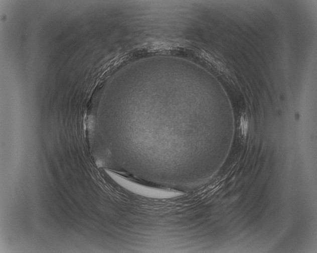 X0000067361348200604071405