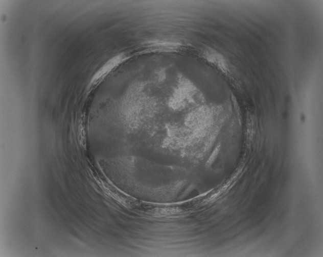 X0000067361354200604071405