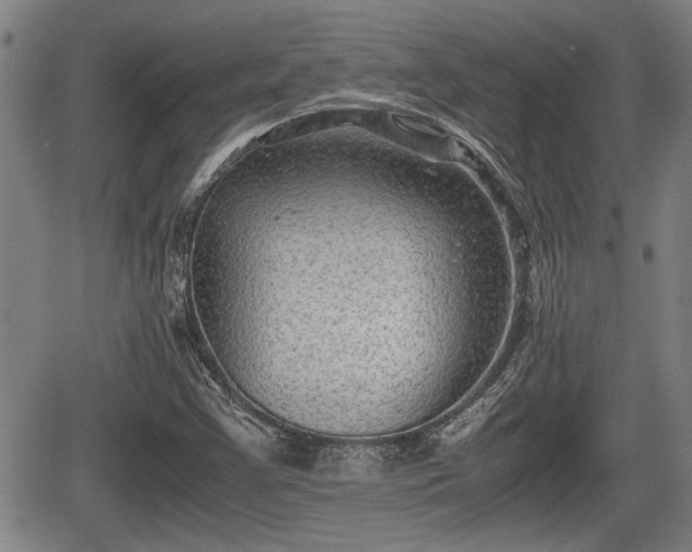X0000067361355200604071405