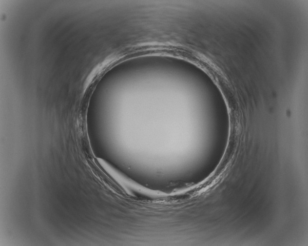 X0000067361357200604071405