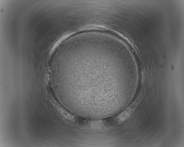 X0000067361363200604071405