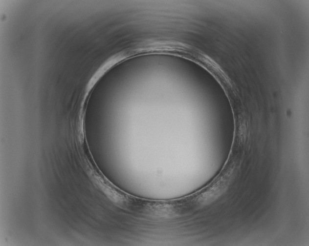 X0000067361370200604071405