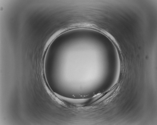 X0000067361389200604071404