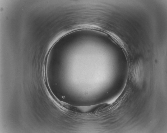 X0000067361391200604071404