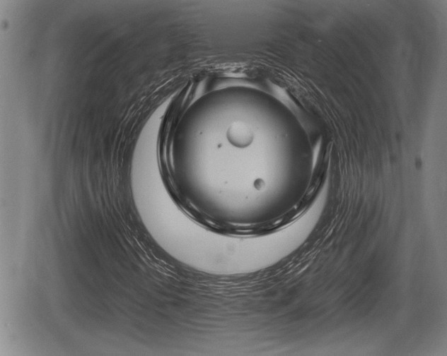 X0000067361394200604071404