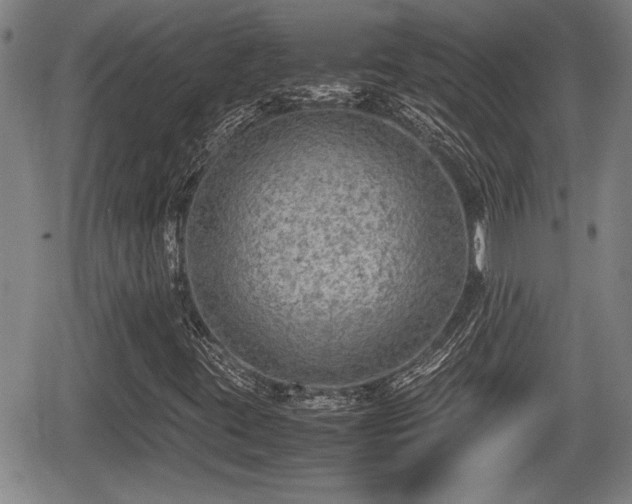 X0000067361395200604071404
