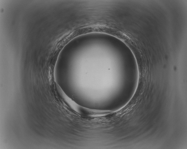 X0000067361398200604071404