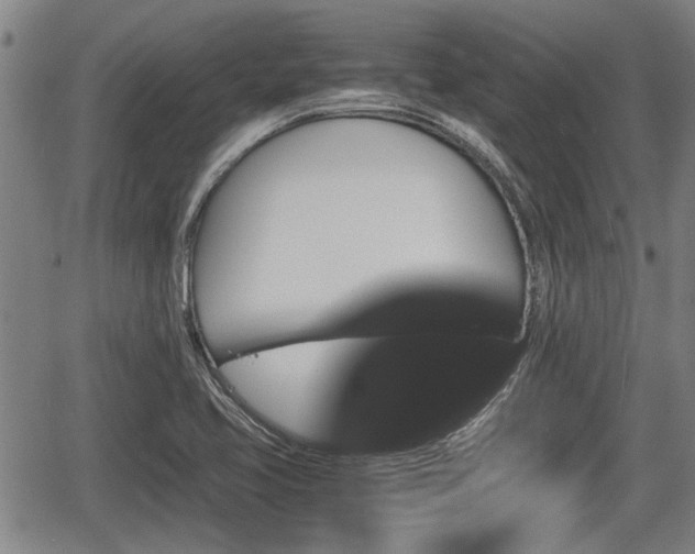 X0000067361413200604071404