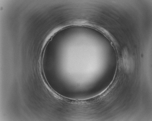X0000067361432200604071404