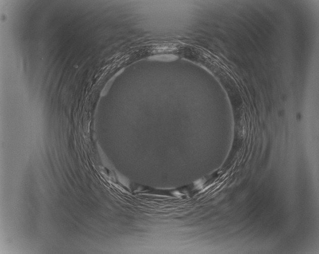 X0000067361441200604071404
