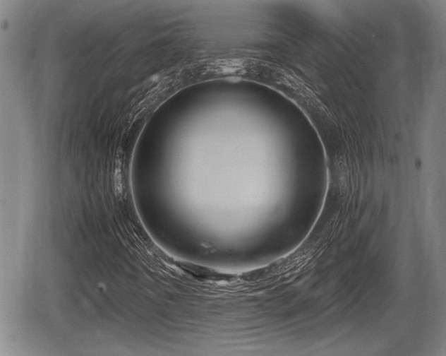 X0000067361442200604071404
