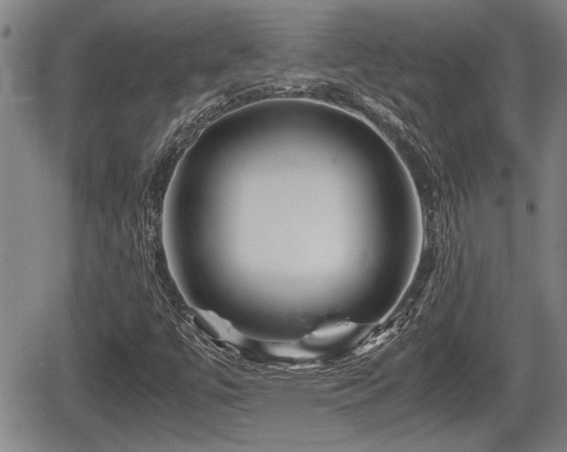X0000067361447200604071404