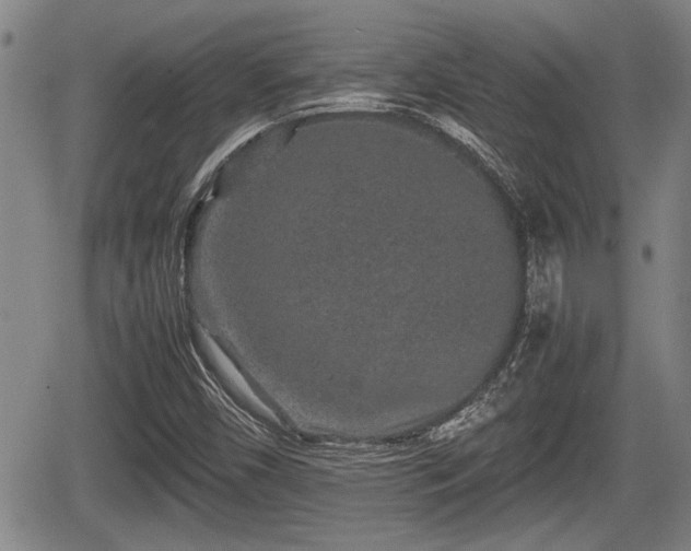 X0000067361450200604071403