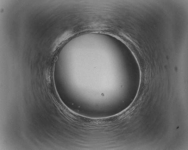 X0000067361451200604071403