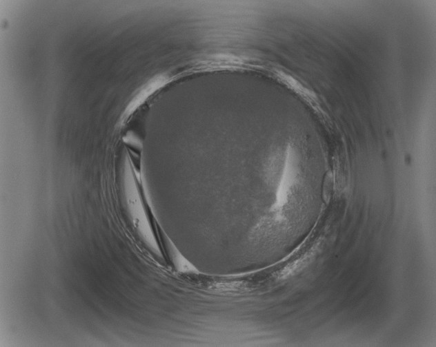 X0000067361453200604071403