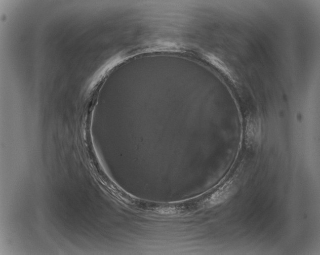 X0000067361455200604071403