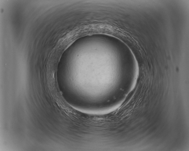 X0000067361489200604071402