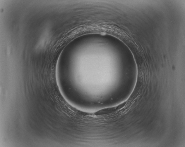 X0000067361490200604071402