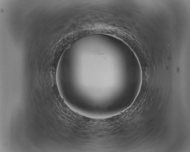 X0000067361493200604071402