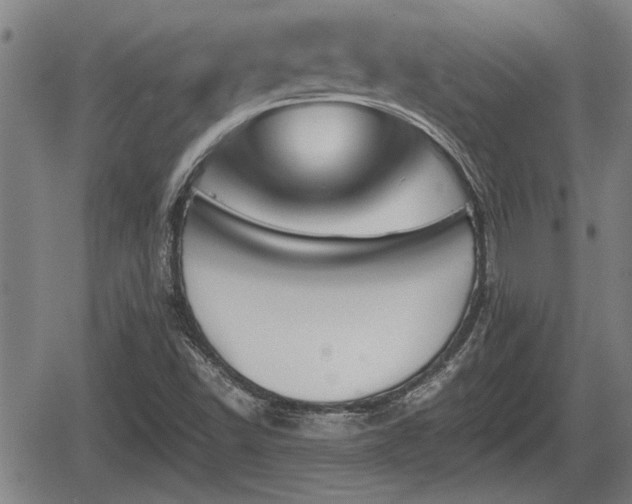 X0000067361502200604071402