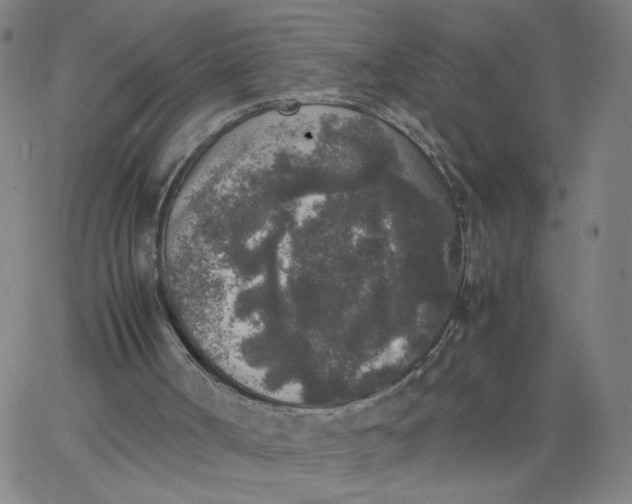 X0000067360002200604131828