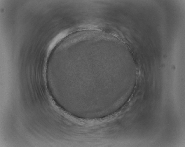 X0000067360006200604131828