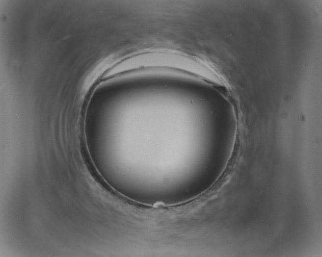 X0000067360007200604131828