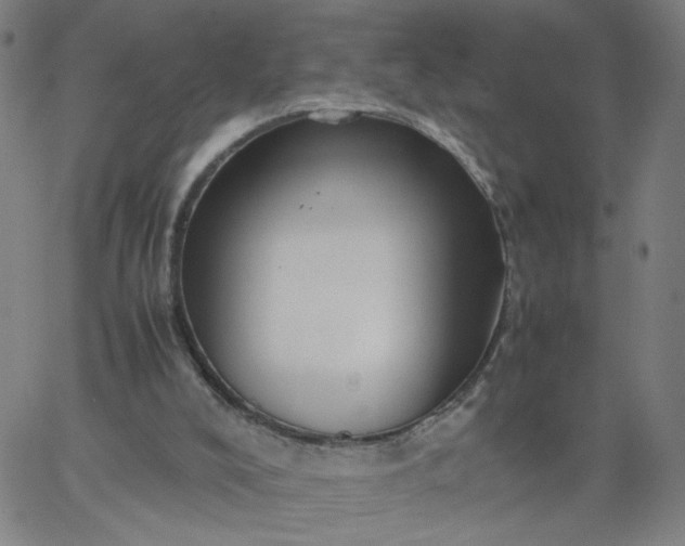 X0000067360008200604131828