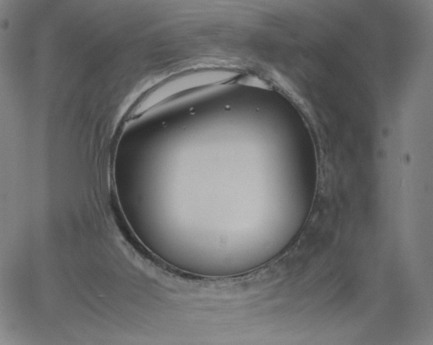 X0000067360011200604131828