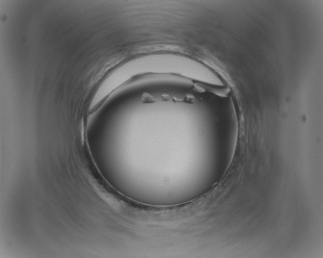 X0000067360013200604131828