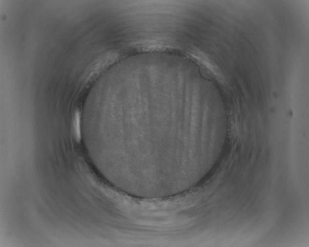X0000067360022200604131828