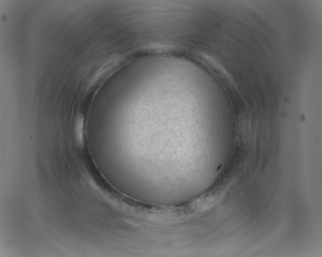 X0000067360024200604131828