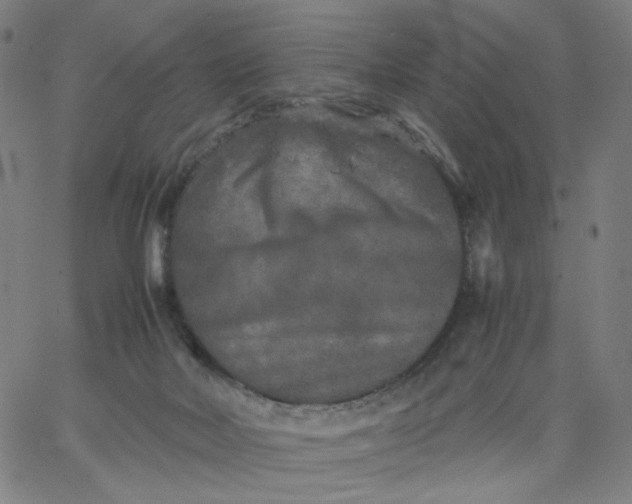 X0000067360026200604131828