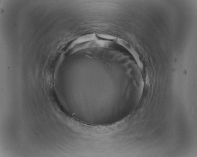 X0000067360031200604131827