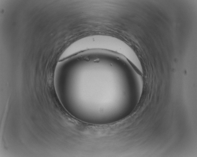 X0000067360033200604131827