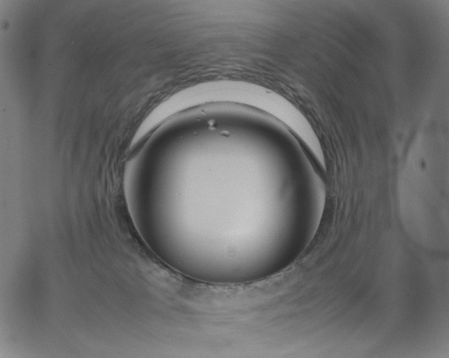 X0000067360037200604131827