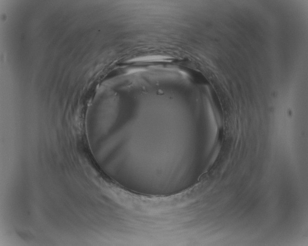 X0000067360039200604131827