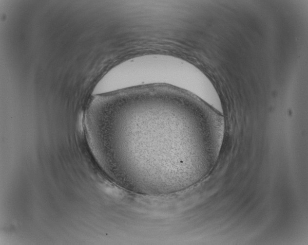 X0000067360041200604131827