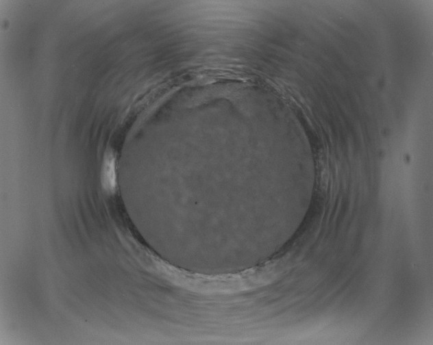 X0000067360042200604131827