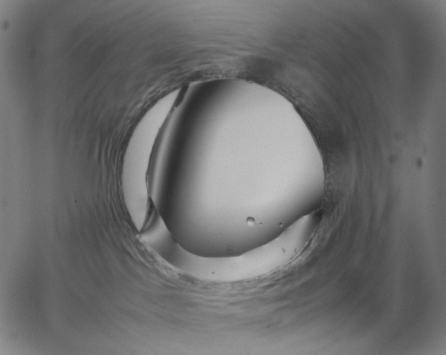 X0000067360045200604131827