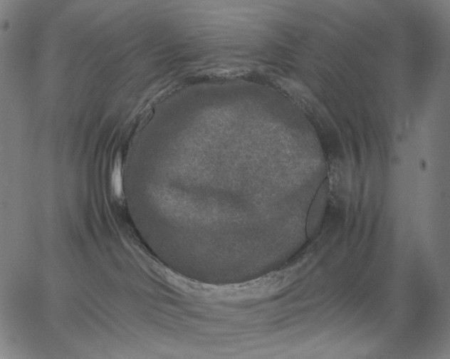 X0000067360046200604131827